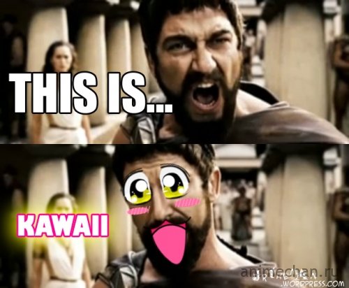 This is kawaii