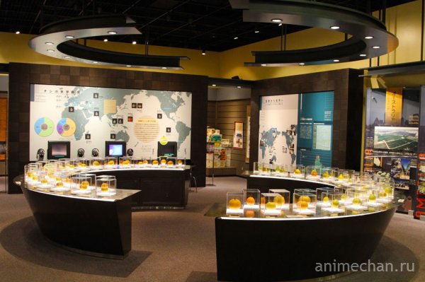 Японский Музей груш в префектуре Тоттори