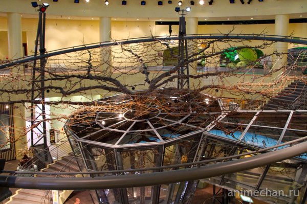 Японский Музей груш в префектуре Тоттори