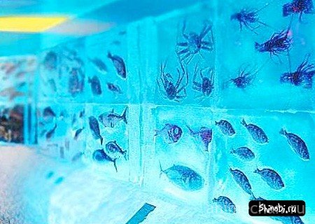 Ледяной аквариум в Кесеннума
