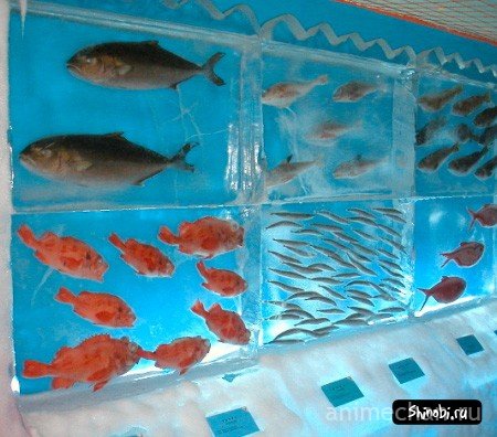 Ледяной аквариум в Кесеннума