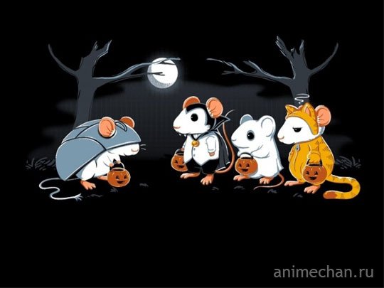 Как нарядиться мышке на Хеллоуин