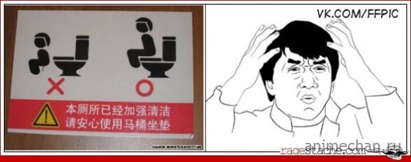 Суровый японский туалет