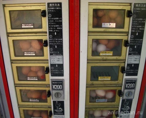 В японских автоматах есть все