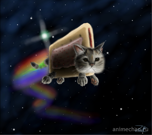 Такой разный Nyan Cat