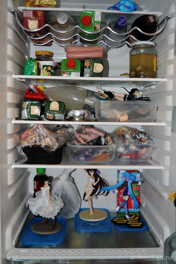 Холодильник анимешника...