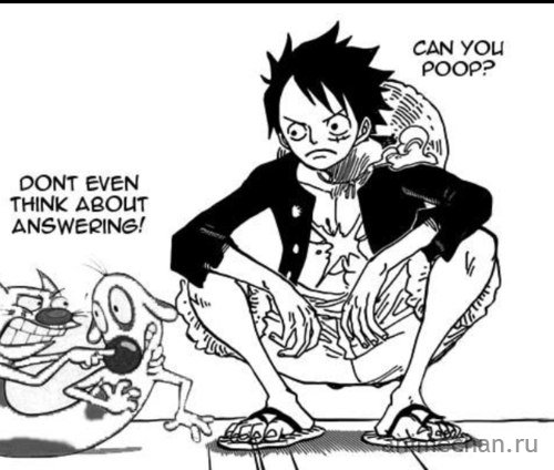 Typical Luffy