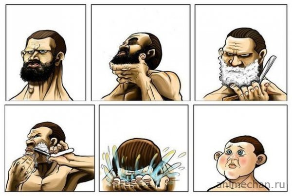 Вся правда о бороде.