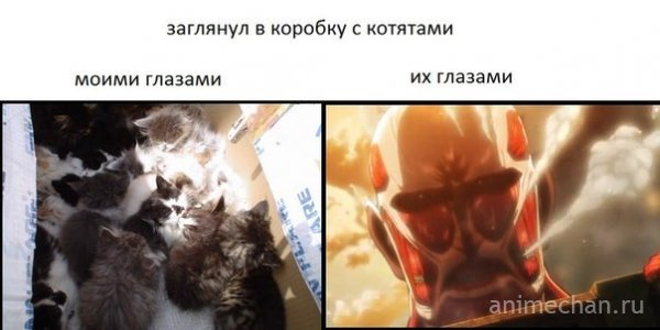 Разность взглядов