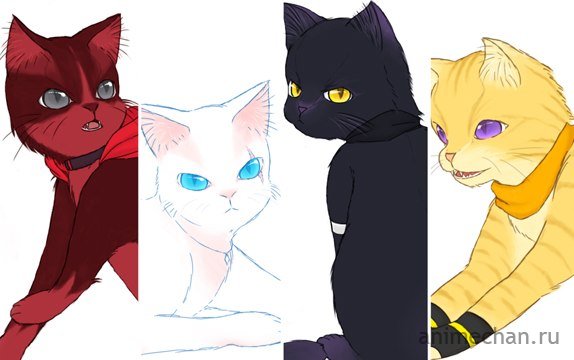 RWBY - cat version