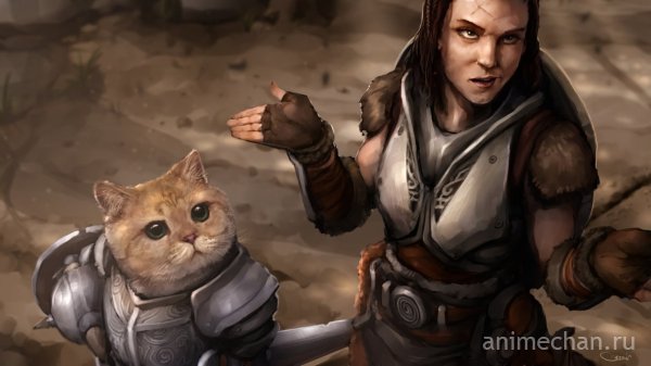 Кот-рыцарь