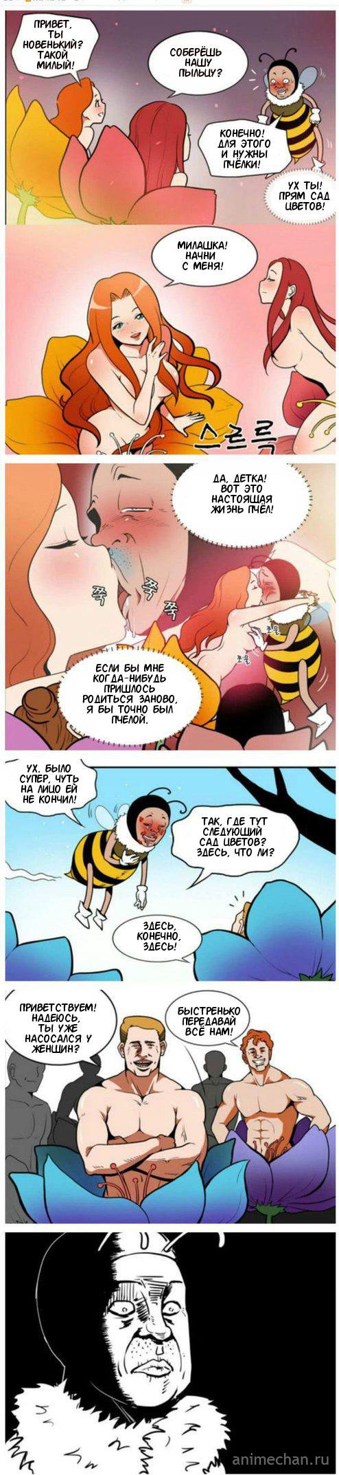 Жизнь пчелы