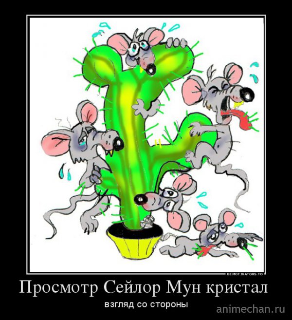 Мыши и кактус
