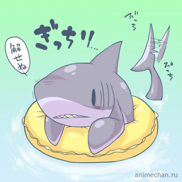 Cute Shark