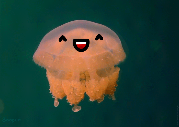 Няшная медуза
