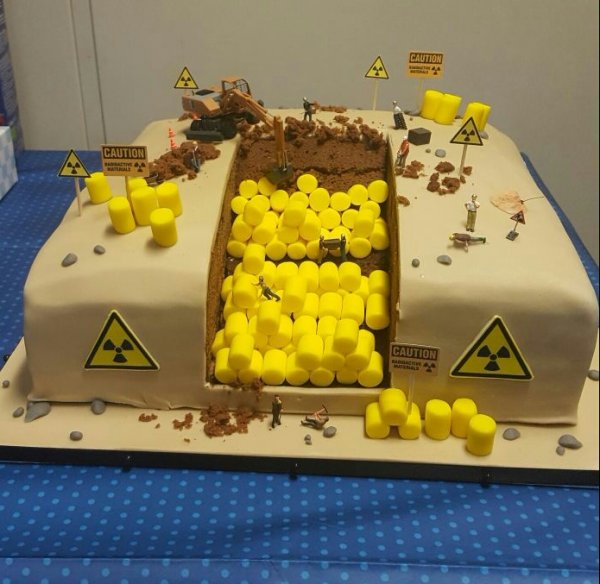 На день рождения коллеги преподнесли переработчику радиоактивных отходов,вот такой тортик