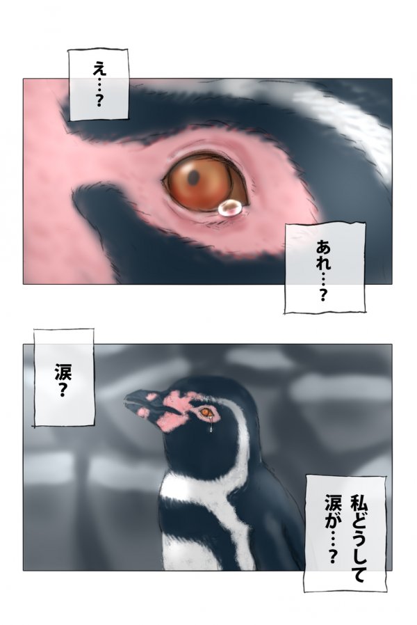 Страдание одного пингвина