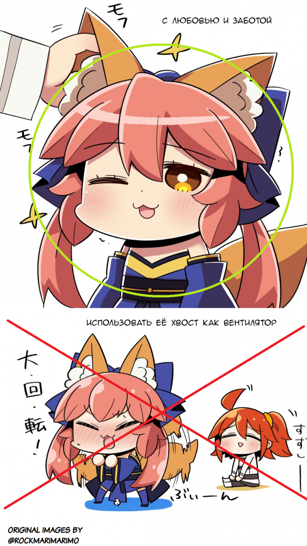 How to treat your foxy