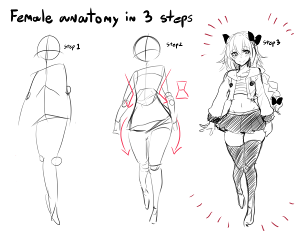 Женская анатомия в 3 шага
