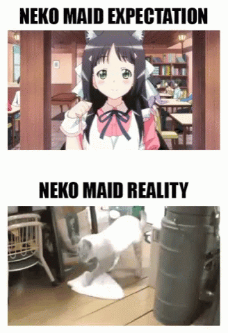 Anime vs. Real Life