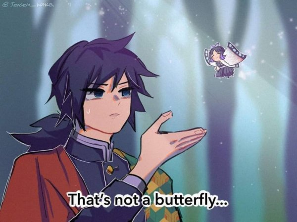 Это не бабочка.