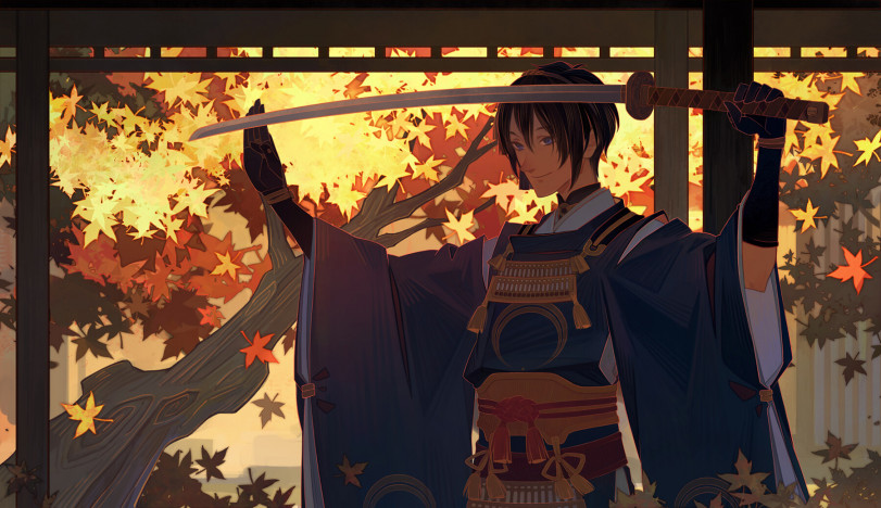 Эпоха самураев