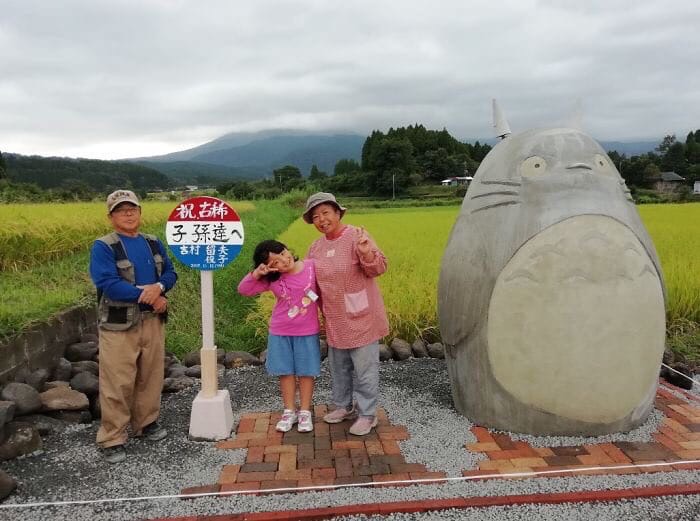 Пожилая пара решила сделать автобусную остановку с известным японским персонажем Тоторо