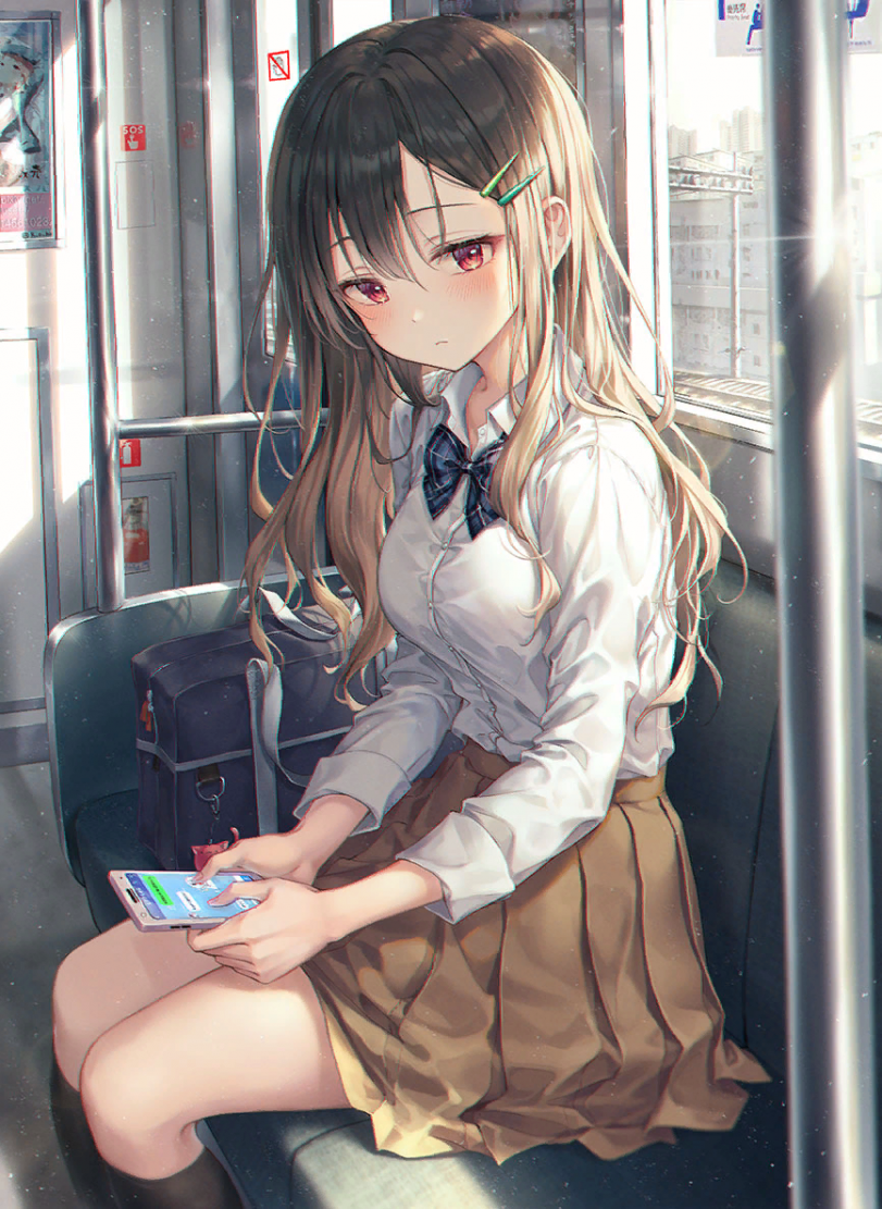 В поезде