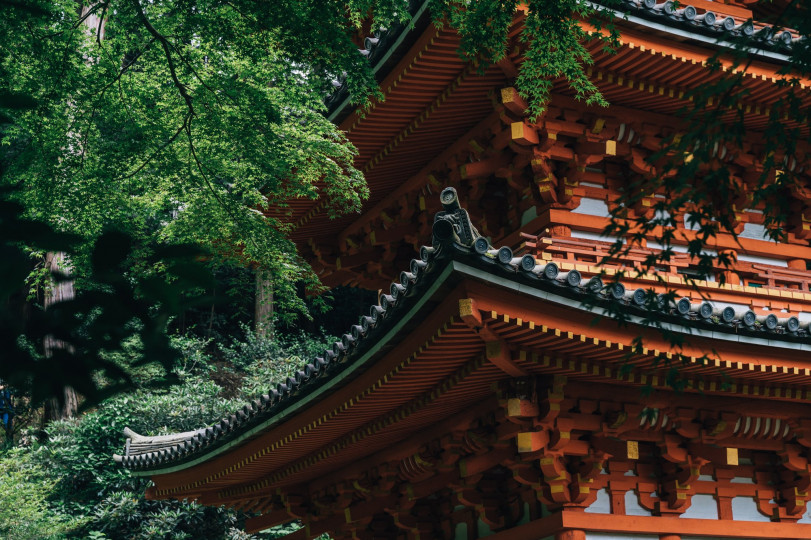 Гортензия в храме Гансендзи в Киото