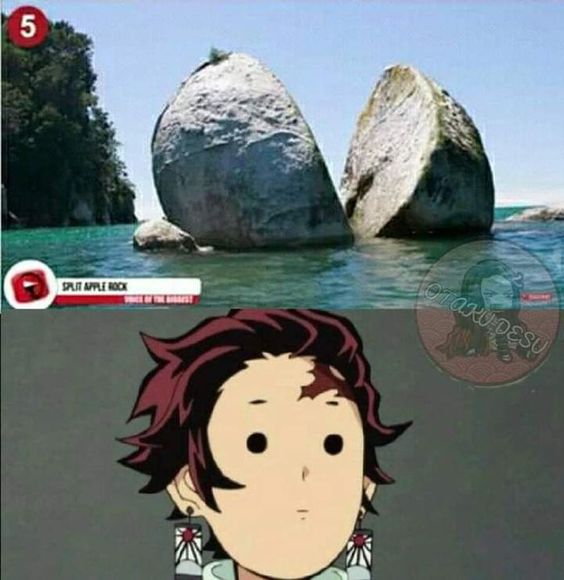 "Я и этот камень разбил?"
