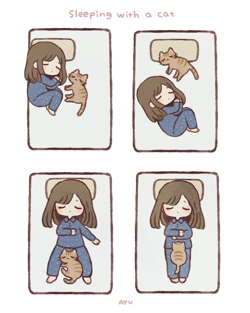 Спим с котиком
