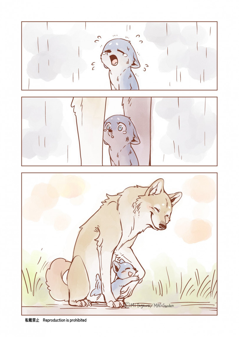 История волчонка