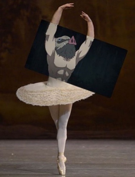 Лучшая балерина