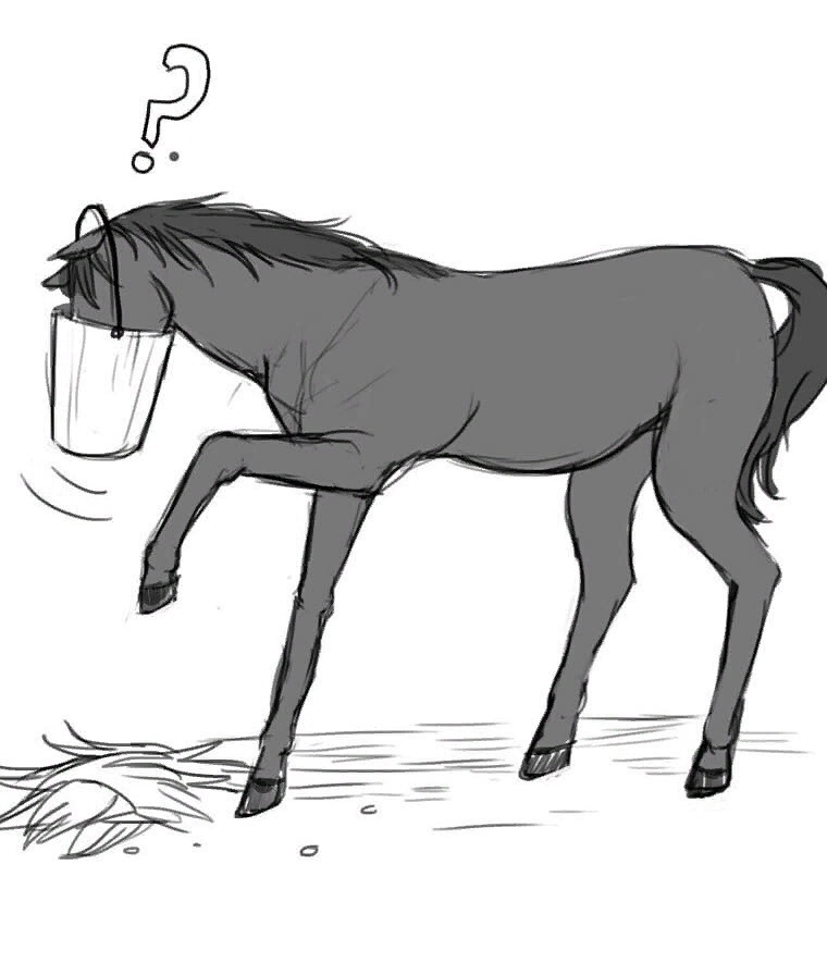 Лошадь с характером