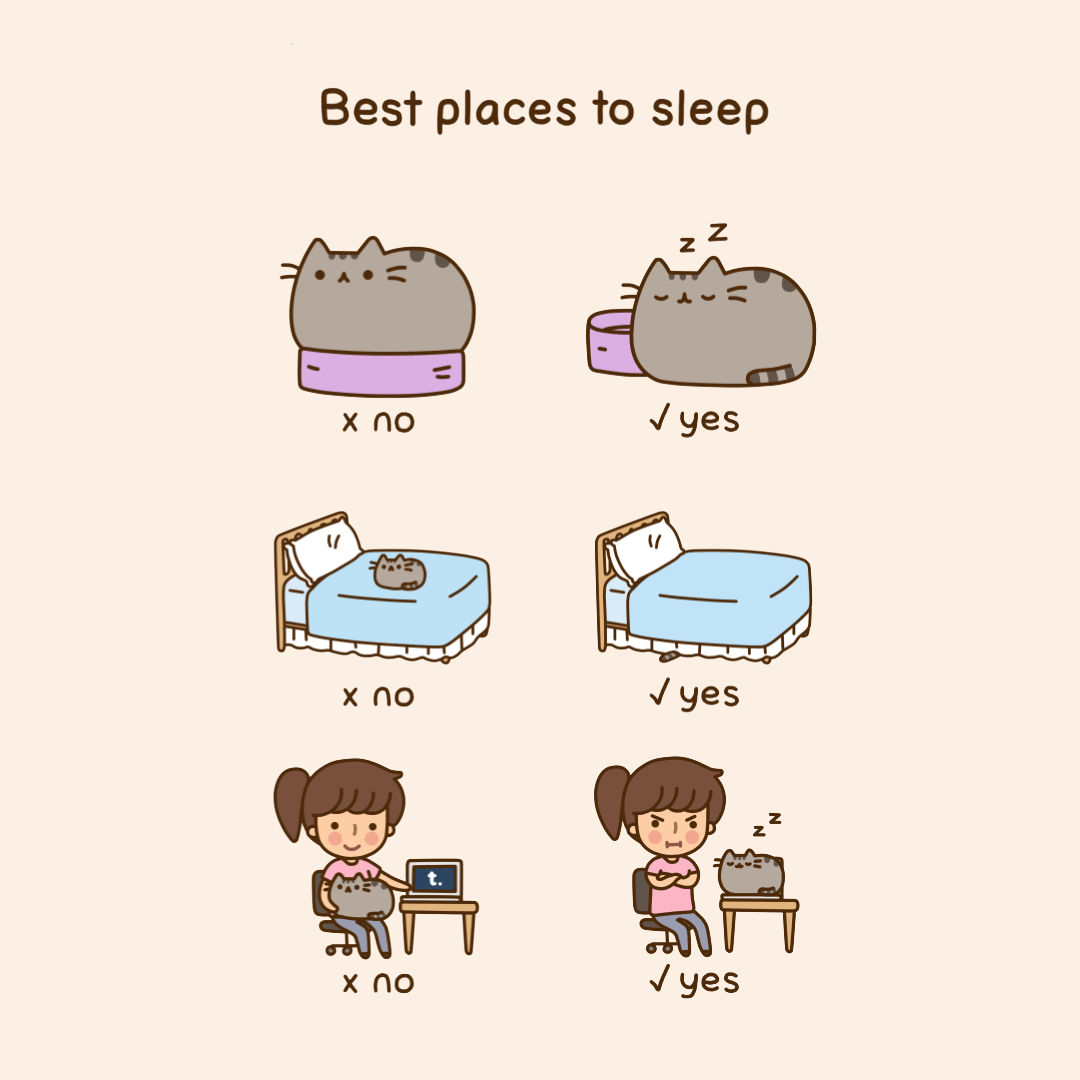 Самые лучшие места для сна