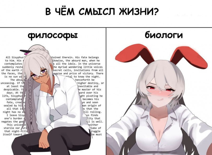 В чём смысл жизни?