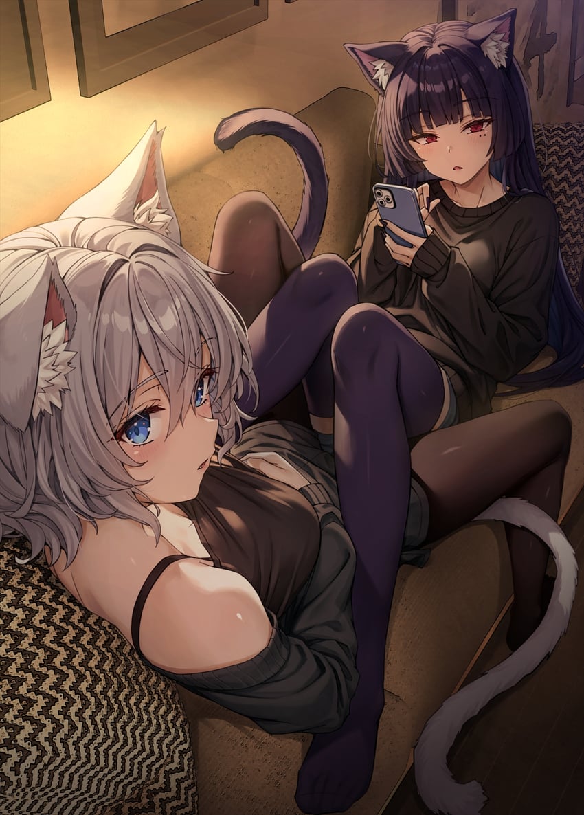 Домашние кошки