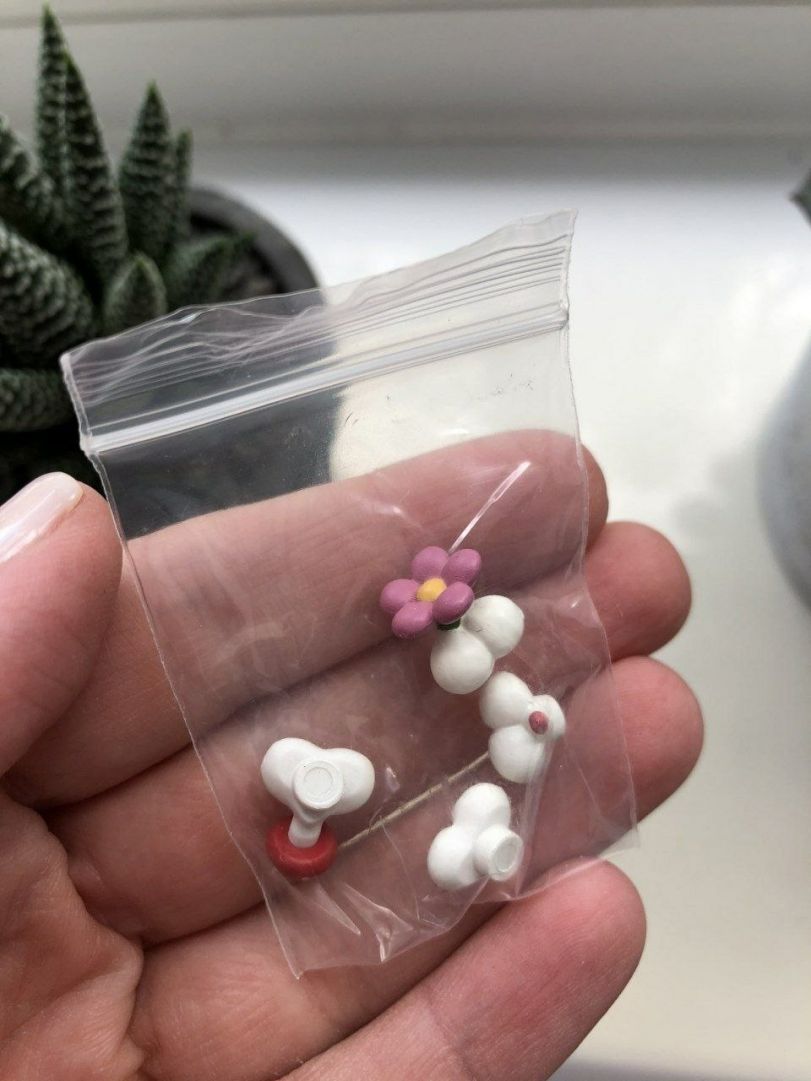 Котик, смотрящий на свою пипку