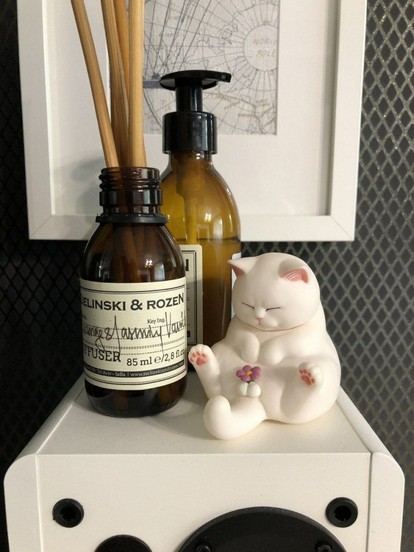 Котик, смотрящий на свою пипку